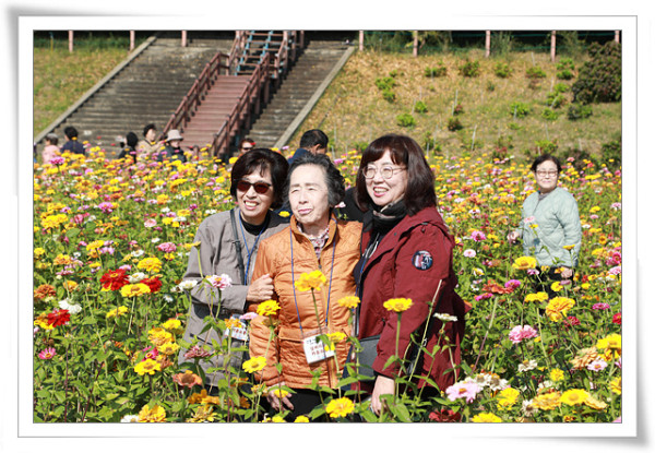 2e58d2b4c1e216b9954f9c2acab0574a_1762234